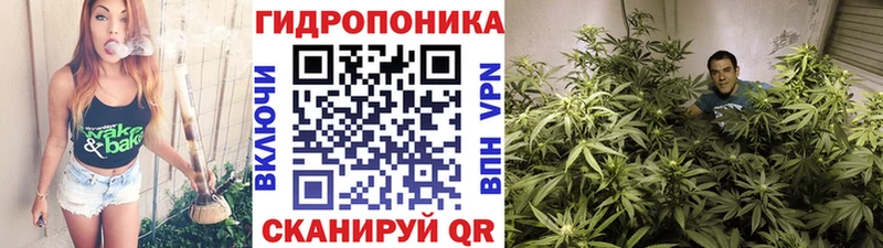 Бошки марихуана AK-47 Южно-Сухокумск